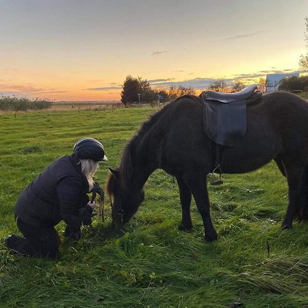 Hotel Country Dream - Langholt 2 Selfoss Zewnętrze zdjęcie